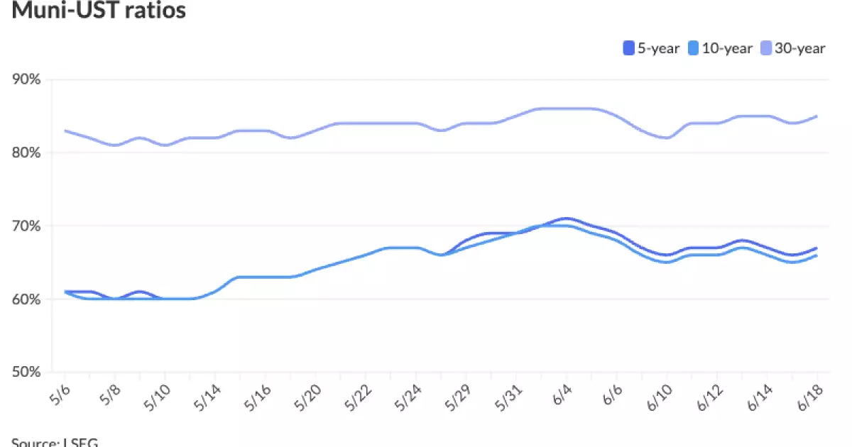 The State of the Municipal Bond Market