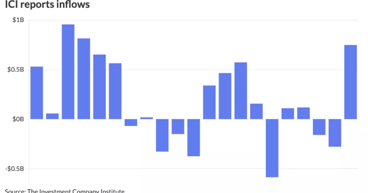 Critical Analysis of the Municipal Bonds Market