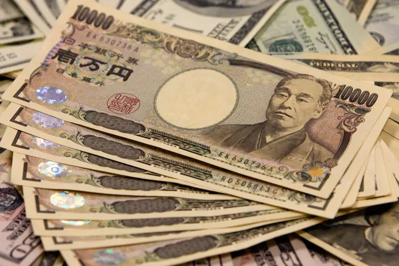 The Impact of Leveraged Funds on the Japanese Yen