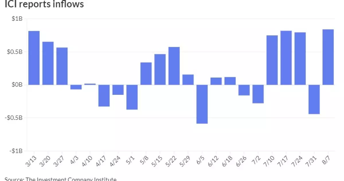 The Impact of Municipal Bonds on the Financial Market