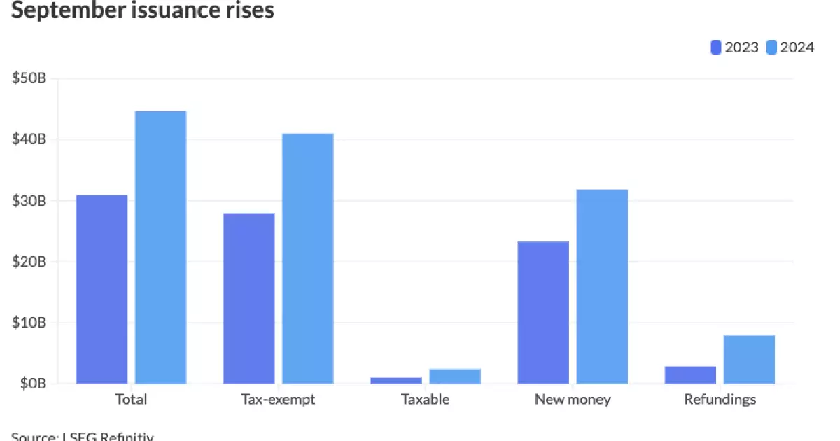 Record-Breaking Bond Issuance: An Analysis of 2024 Trends