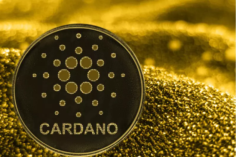 The Future of Cardano: Navigating the Challenges Ahead