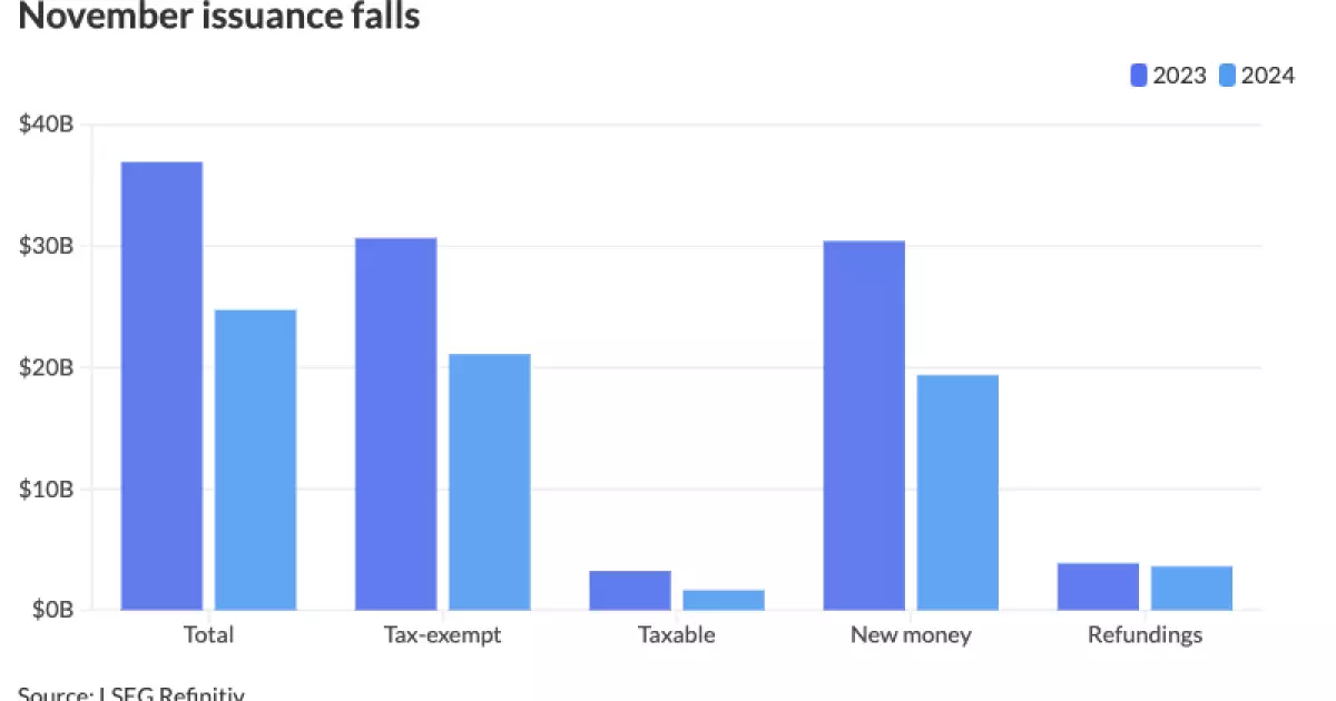 Trends in Municipal Bond Issuance: A Closer Look at November 2024