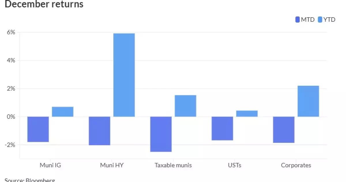 Municipal Bonds Outlook: Navigating the Challenges Ahead in 2024