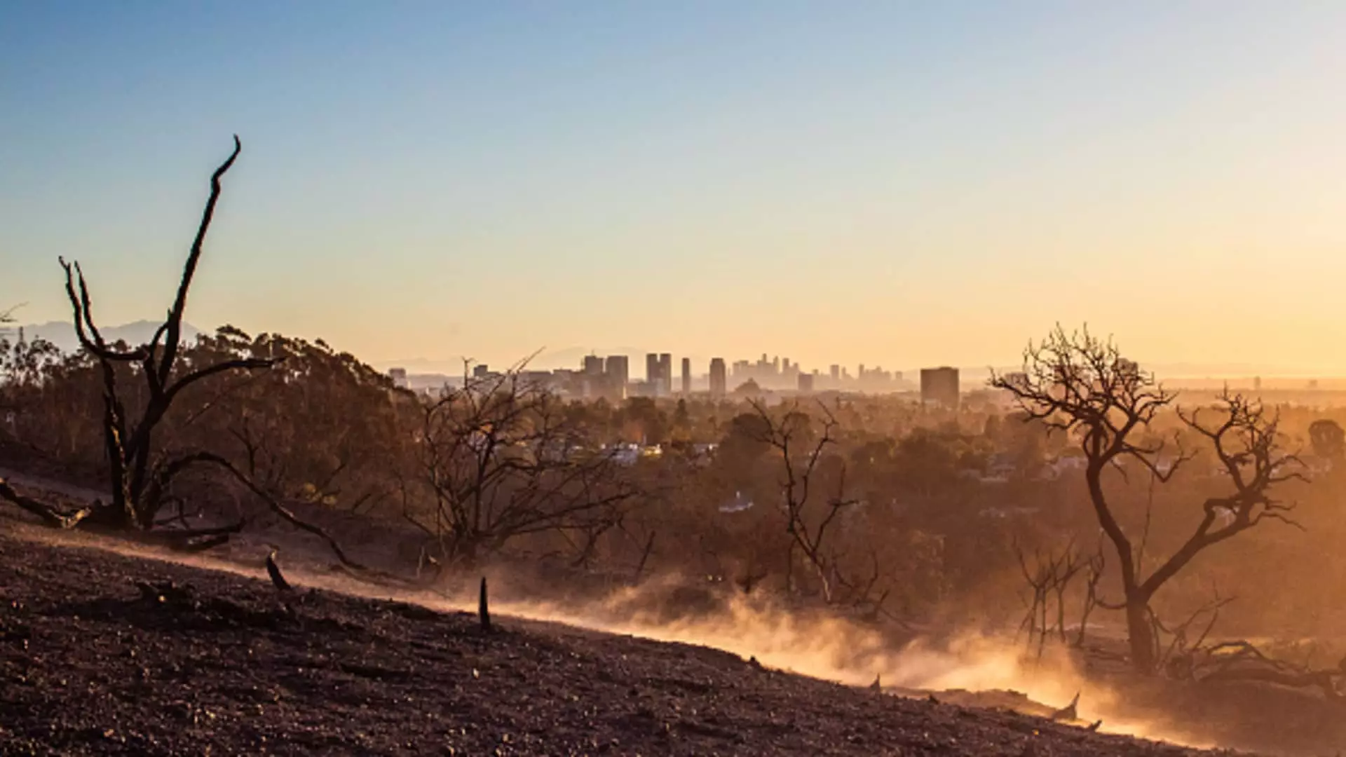 The Rising Tide of Insurance Premiums: Navigating the Wildfire Crisis and Climate Change Impact